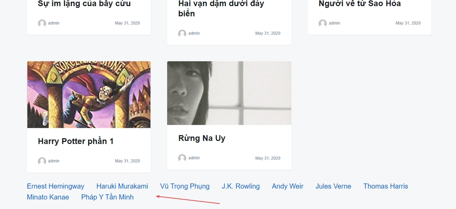 Custom field vừa tạo hiển thị ở trang archive